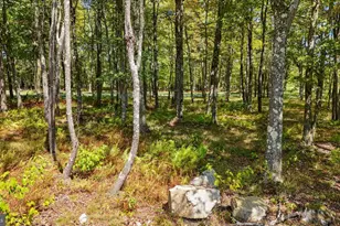 Lot 20 Green Jacket Ct, Mc Henry, MD 21541 - Photo 1