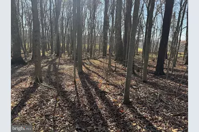 Maryland Highway, Oakland, MD 21550 - Photo 4