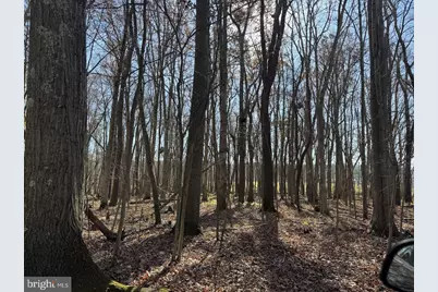 Maryland Highway, Oakland, MD 21550 - Photo 6