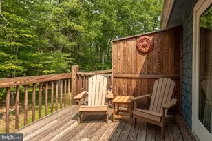 105 Monastery Way, Swanton, MD 21561 - Photo 88