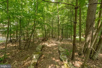 105 Monastery Way, Swanton, MD 21561 - Photo 108