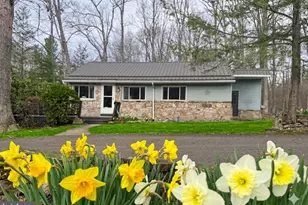 222 Skippers Point Rd, Oakland, MD 21550 - Photo 2