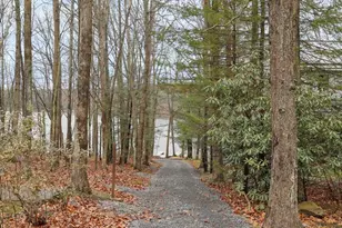 222 Skippers Point Rd, Oakland, MD 21550 - Photo 48