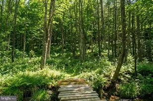 2571 Shady Dell Rd, Oakland, MD 21550 - Photo 50