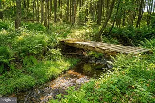 2571 Shady Dell Rd, Oakland, MD 21550 - Photo 52