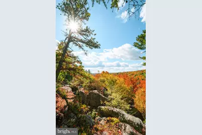 22 Elm Drive, Oakland, MD 21550 - Photo 16