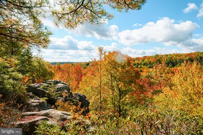 21 Bear Drive E, Oakland, MD 21550 - Photo 14