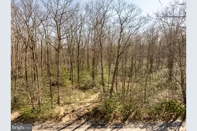 21 Bear Drive E, Oakland, MD 21550 - Photo 4