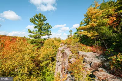 27 Gobbler Run Road, Oakland, MD 21550 - Photo 16