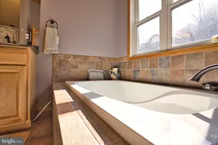 208 Smiley Face Ln, Mc Henry, MD 21541 - Photo 62