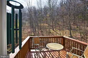 208 Smiley Face Ln, Mc Henry, MD 21541 - Photo 70