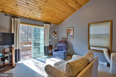 208 Smiley Face Lane, Mc Henry, MD 21541 - Photo 52