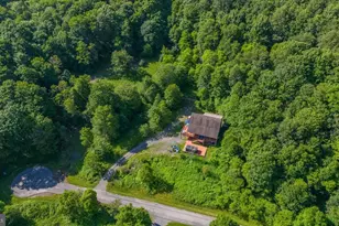 208 Smiley Face Ln, Mc Henry, MD 21541 - Photo 66