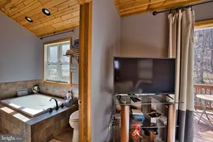 208 Smiley Face Ln, Mc Henry, MD 21541 - Photo 54