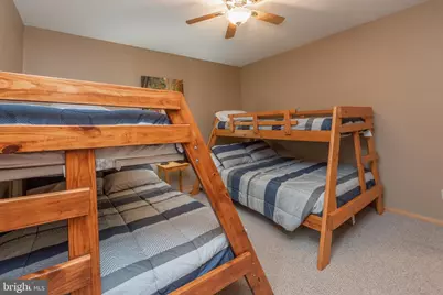 132 Fantasy Lane, Mc Henry, MD 21541 - Photo 42