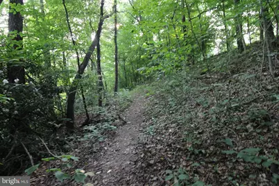 8956 Oakland Sang Run Road, Oakland, MD 21550 - Photo 58