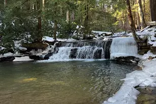 8956 Oakland Sang Run Rd, Oakland, MD 21550 - Photo 66