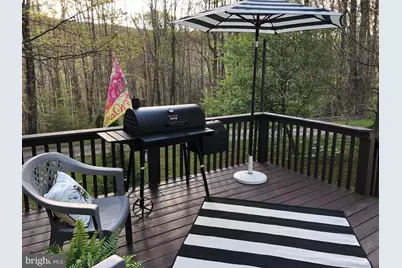 8956 Oakland Sang Run Road, Oakland, MD 21550 - Photo 10