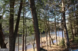 8956 Oakland Sang Run Rd, Oakland, MD 21550 - Photo 64