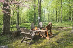 61 Frederick Cir, Swanton, MD 21561 - Photo 44
