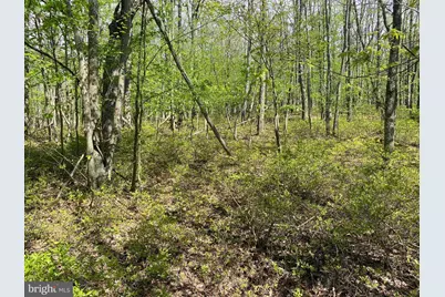 Betts Lane, Oakland, MD 21550 - Photo 8