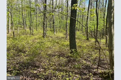 Betts Lane, Oakland, MD 21550 - Photo 6
