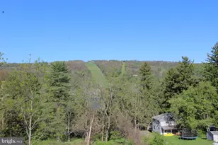 417 Greenwood Ridge Rd, Accident, MD 21520 - Photo 74