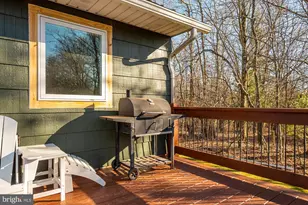 1015 Pysell Rd, Mc Henry, MD 21541 - Photo 46