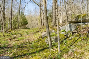2361 Rock Lodge, Mc Henry, MD 21541 - Photo 54