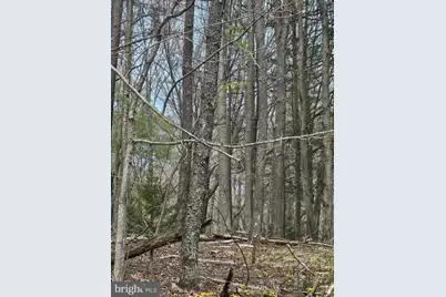 Lot 233 Cumberland, Oakland, MD 21550 - Photo 6
