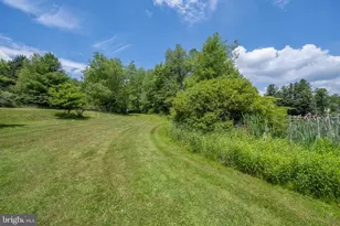 53 Meadow Ct, Oakland, MD 21550 - Photo 72