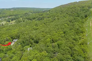 2250 Hoyes Run Rd, Mc Henry, MD 21541 - Photo 92