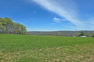 137 Shawnee Ln, Grantsville, MD 21536 - Photo 44