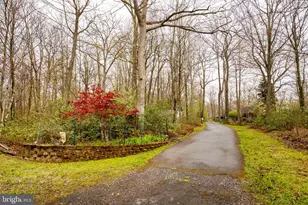 398 Snow Bird Ln, Swanton, MD 21561 - Photo 64