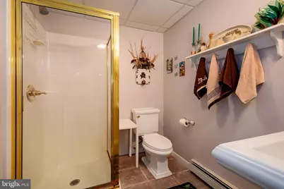 398 Snowbird Lane, Swanton, MD 21561 - Photo 52