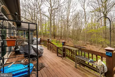 398 Snowbird Lane, Swanton, MD 21561 - Photo 68