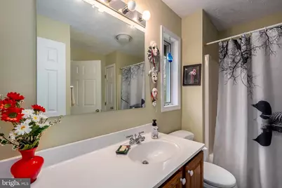 398 Snowbird Lane, Swanton, MD 21561 - Photo 30