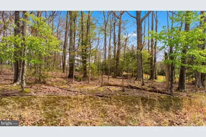 Lot 1 Aspen Woods Drive, Mc Henry, MD 21541 - Photo 8