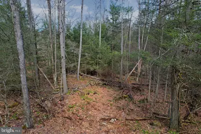 0 Gnegy Church Road, Oakland, MD 21550 - Photo 18