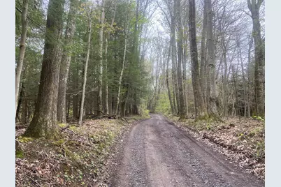 0 Gnegy Church Road, Oakland, MD 21550 - Photo 2