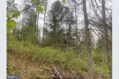 0 Gnegy Church Road, Oakland, MD 21550 - Photo 28