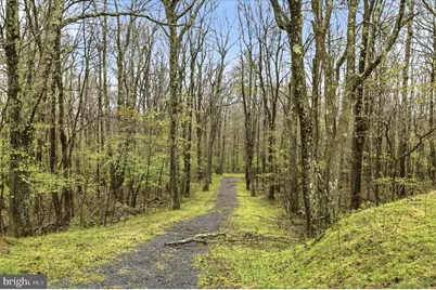 1995 Bethlehem Road, Oakland, MD 21550 - Photo 2