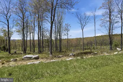 Lot 43 Biltmore Ridge Trail, Mc Henry, MD 21541 - Photo 1