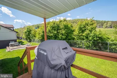 486 Marsh Hill Road, Mc Henry, MD 21541 - Photo 28