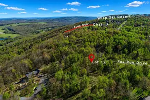 12 Fox Run Dr, Mc Henry, MD 21541 - Photo 1