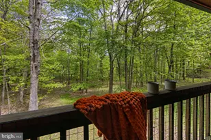 1142 Limpopo Ln, Mc Henry, MD 21541 - Photo 48
