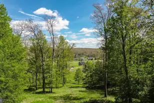 2828 Glendale Rd, Swanton, MD 21561 - Photo 48