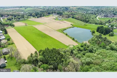 9.75 Ac. Dennett Road, Oakland, MD 21550 - Photo 6