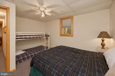208 Cliff Drive, Oakland, MD 21550 - Photo 62