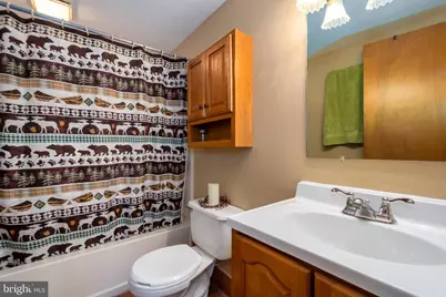 365 Ridge Road, Swanton, MD 21561 - Photo 42